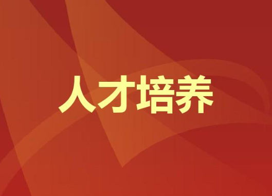 我校教师参加2025年教师职业能力提升活动